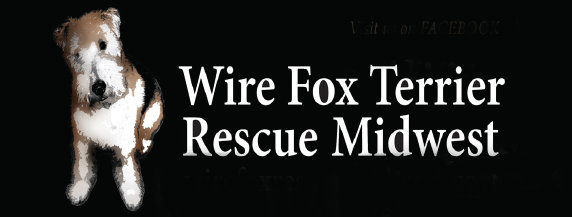 rescue_website001020.jpg