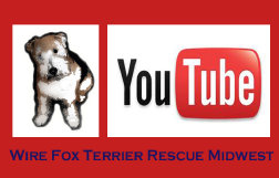 rescue_website001023.jpg