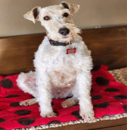 rescue_website008038.jpg