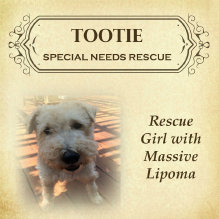 rescue_website003013.jpg